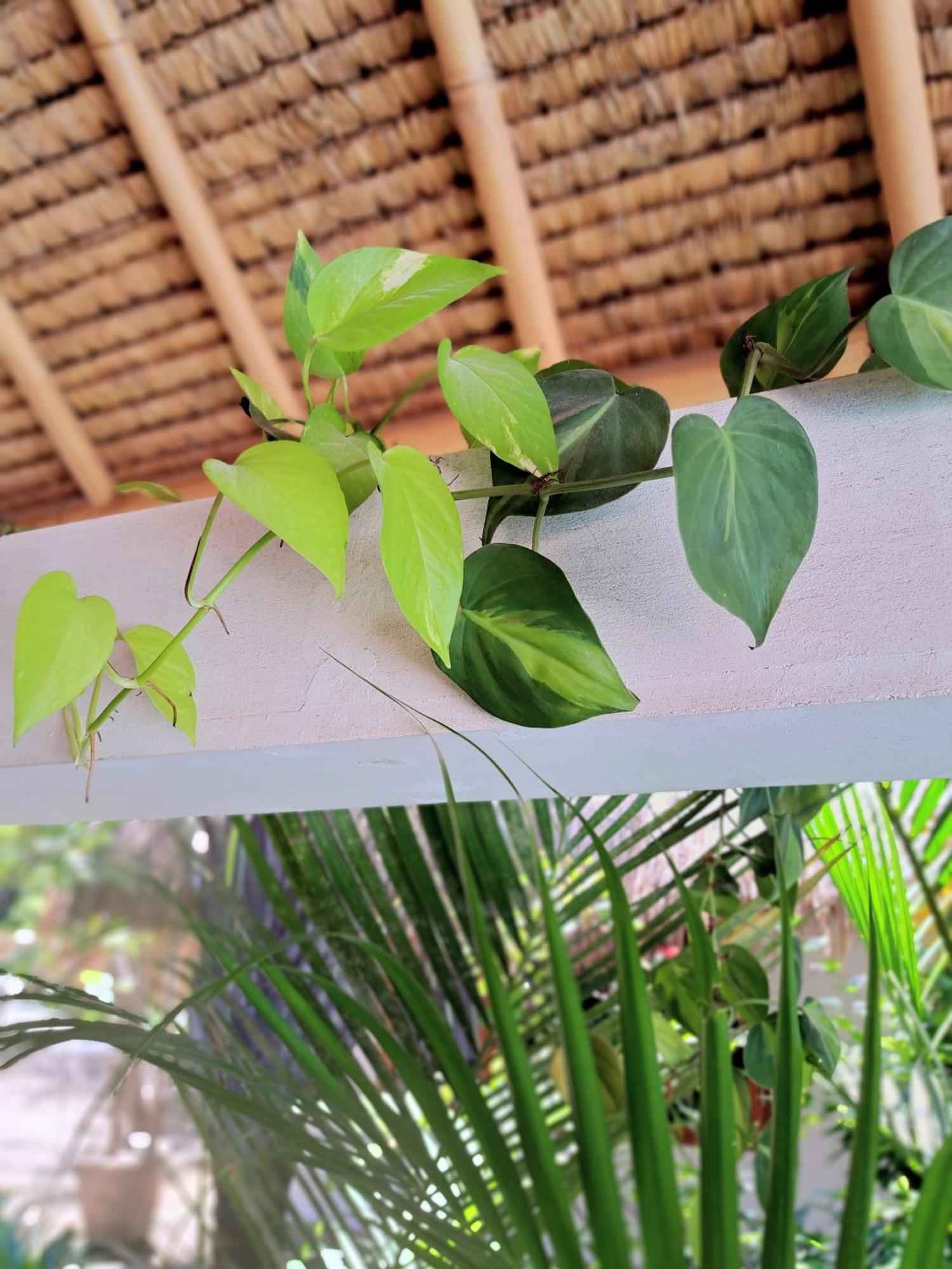 Eden Eco Resort Gili Trawangan Eksteriør bilde
